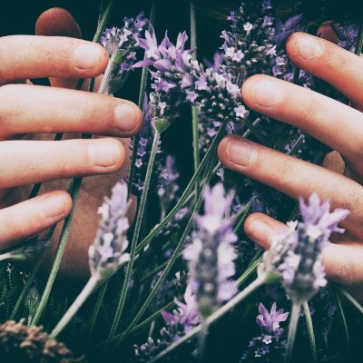 Aromatherapy for Stress Relief: How Aromatherapy Soothes Our Souls